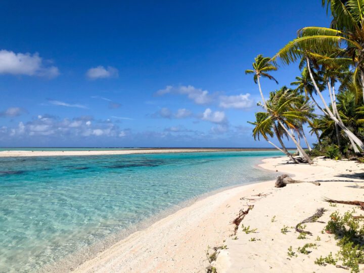 Praia de Bávaro: O Melhor do Caribe em Punta Cana